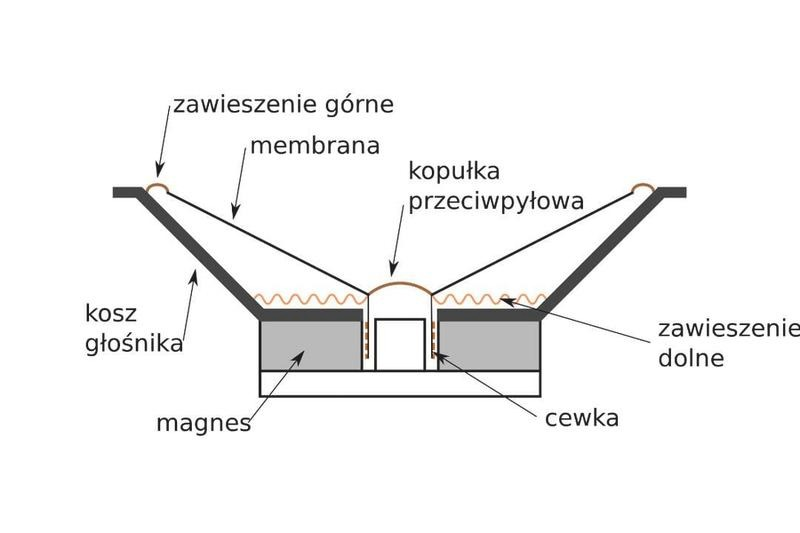 Jak działa głośnik? Budowa i zasada tworzenia dźwięku