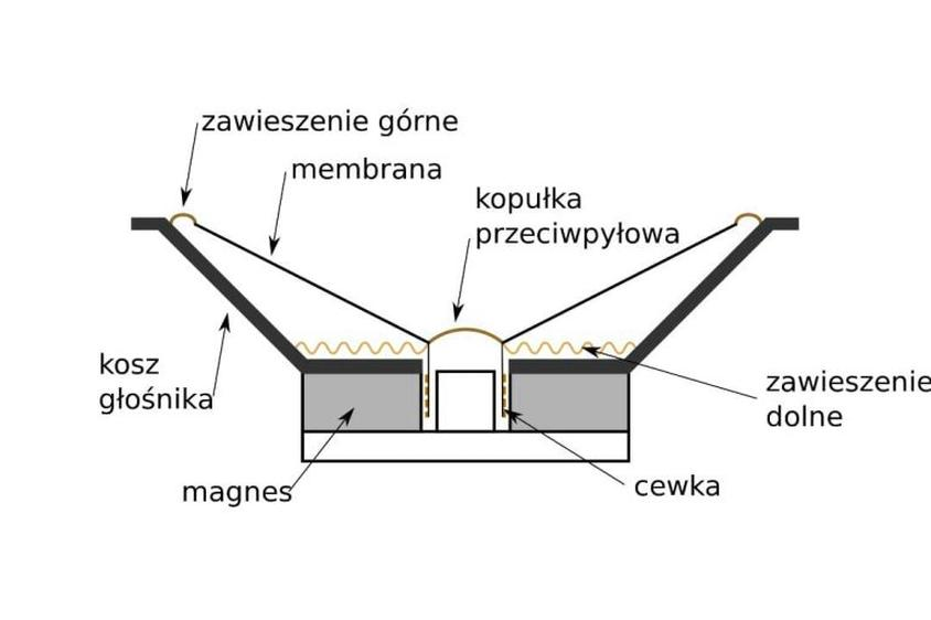 Budowa głośnika