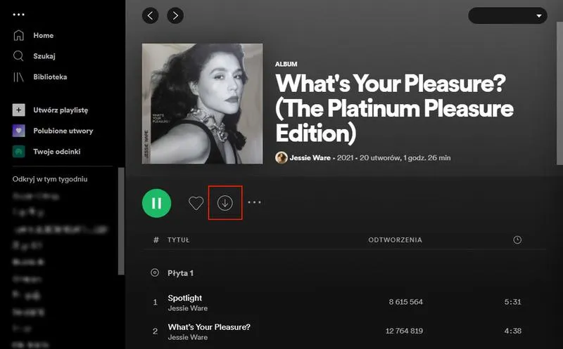 Spotify offline